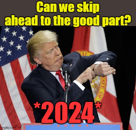 They may yet fix the fraud of 2020, but I am OK with the Dems losing big in the Mid Terms first. | Can we skip ahead to the good part? *2024* | image tagged in election fraud,trump derangement syndrome,triggered liberal,potus45 | made w/ Imgflip meme maker