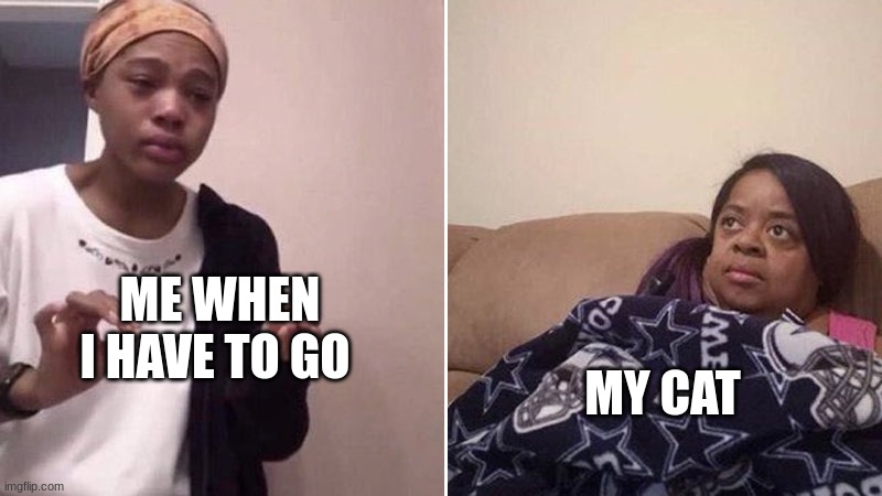 Me explaining to my mom | ME WHEN I HAVE TO GO; MY CAT | image tagged in me explaining to my mom | made w/ Imgflip meme maker
