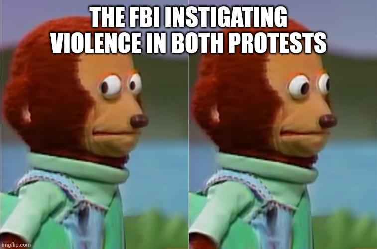 puppet Monkey looking away | THE FBI INSTIGATING VIOLENCE IN BOTH PROTESTS | image tagged in puppet monkey looking away | made w/ Imgflip meme maker