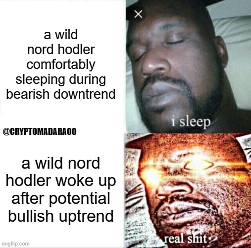 woke up shaq after probable bullish uptrend | a wild nord hodler comfortably sleeping during bearish downtrend; @CRYPTOMADARA00; a wild nord hodler woke up after potential bullish uptrend | image tagged in memes,sleeping shaq,nord finance,staking,chilling,nord | made w/ Imgflip meme maker