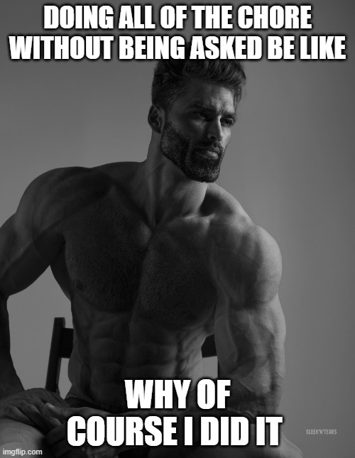 Giga Chad | DOING ALL OF THE CHORE WITHOUT BEING ASKED BE LIKE; WHY OF COURSE I DID IT | image tagged in giga chad | made w/ Imgflip meme maker