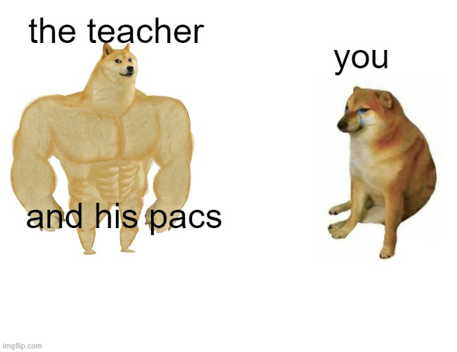 Buff Doge vs. Cheems | the teacher; you; and his pacs | image tagged in memes,buff doge vs cheems | made w/ Imgflip meme maker