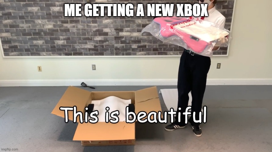 picture an xbox series x | ME GETTING A NEW XBOX | image tagged in this is beautiful | made w/ Imgflip meme maker