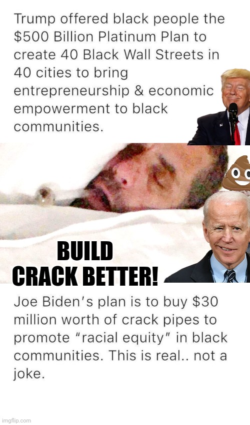 Trump Platinum vs Brandon Crack Pipes | BUILD CRACK BETTER! | image tagged in hunter biden,blank white template | made w/ Imgflip meme maker