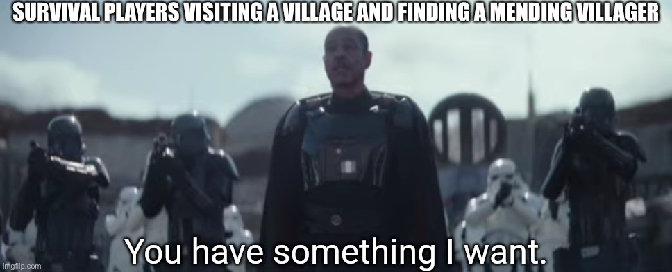You have something I want. | SURVIVAL PLAYERS VISITING A VILLAGE AND FINDING A MENDING VILLAGER | image tagged in you have something i want | made w/ Imgflip meme maker