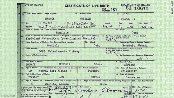 Obama birth certificate | image tagged in obama birth certificate | made w/ Imgflip meme maker