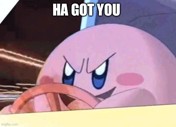 KIRBY HAS GOT YOU! | HA GOT YOU | image tagged in kirby has got you | made w/ Imgflip meme maker