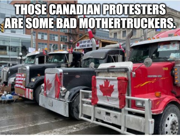 Those Canadian Protesters Are Some Bad Mothertruckers | THOSE CANADIAN PROTESTERS ARE SOME BAD MOTHERTRUCKERS. | image tagged in canadians,protesters,truckers | made w/ Imgflip meme maker