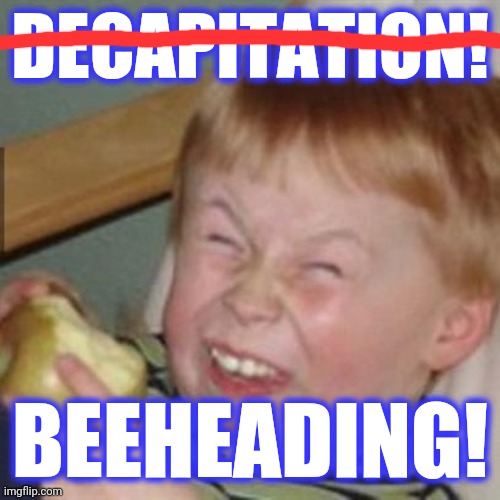 laughing kid | DECAPITATION! BEEHEADING! | image tagged in laughing kid | made w/ Imgflip meme maker