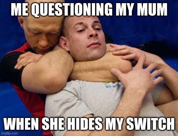 ME QUESTIONING MY MUM; WHEN SHE HIDES MY SWITCH | image tagged in hide | made w/ Imgflip meme maker