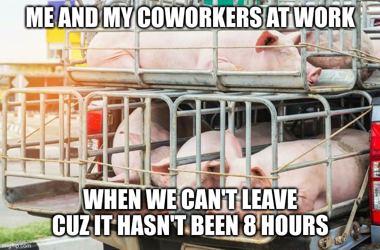 Work is in large part daycare for adults.  don't let anyone fool you into thinking otherwise. | ME AND MY COWORKERS AT WORK; WHEN WE CAN'T LEAVE CUZ IT HASN'T BEEN 8 HOURS | image tagged in work,job,capitalism | made w/ Imgflip meme maker