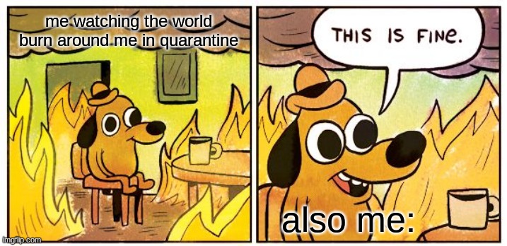 This Is Fine | me watching the world burn around me in quarantine; also me: | image tagged in memes,this is fine | made w/ Imgflip meme maker