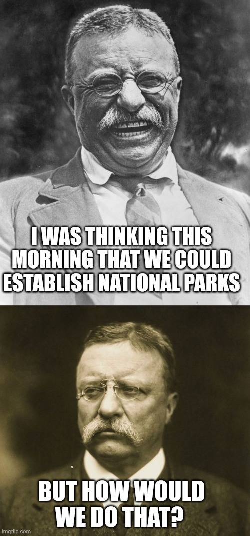 I mean, other than the backup owner thing, does anyone have any ideas for something to do? | I WAS THINKING THIS MORNING THAT WE COULD ESTABLISH NATIONAL PARKS; BUT HOW WOULD WE DO THAT? | image tagged in teddy roosevelt | made w/ Imgflip meme maker