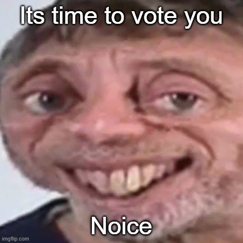time to vote you | Its time to vote you; Noice | image tagged in noice | made w/ Imgflip meme maker