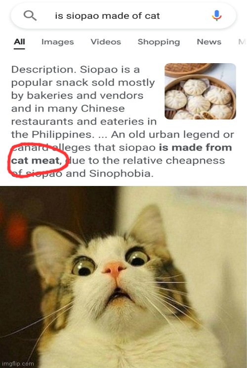 Siopao is made of Cat meat!?!?! | image tagged in memes,scared cat | made w/ Imgflip meme maker