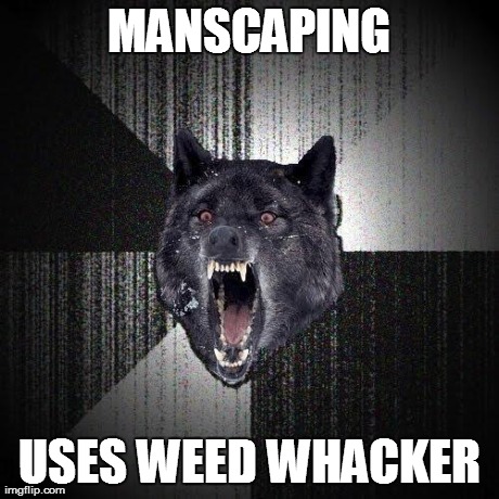 MANSCAPING USES WEED WHACKER | made w/ Imgflip meme maker