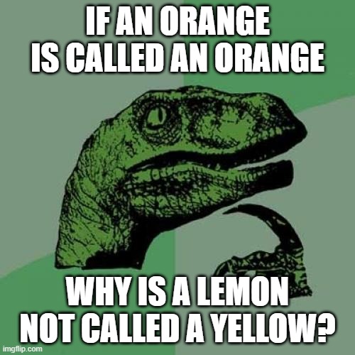 Philosoraptor | IF AN ORANGE IS CALLED AN ORANGE; WHY IS A LEMON NOT CALLED A YELLOW? | image tagged in memes,philosoraptor,orange,lemon,yellow | made w/ Imgflip meme maker