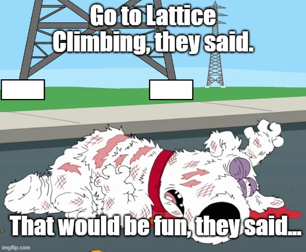 Griffin | Go to Lattice Climbing, they said. That would be fun, they said... | image tagged in griffin | made w/ Imgflip meme maker