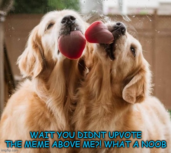 beggar detected opinion.......oof | WAIT YOU DIDNT UPVOTE THE MEME ABOVE ME?! WHAT A NOOB | image tagged in memes,funny,not funny,msmg | made w/ Imgflip meme maker
