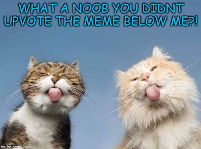 beggar detected and i deleted the first one bc its my own meme...opinion... um | image tagged in memes,funny,not funny,msmg | made w/ Imgflip meme maker