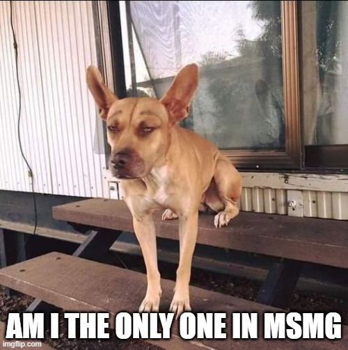 "/ | AM I THE ONLY ONE IN MSMG | image tagged in memes,funny,not funny,msmg | made w/ Imgflip meme maker