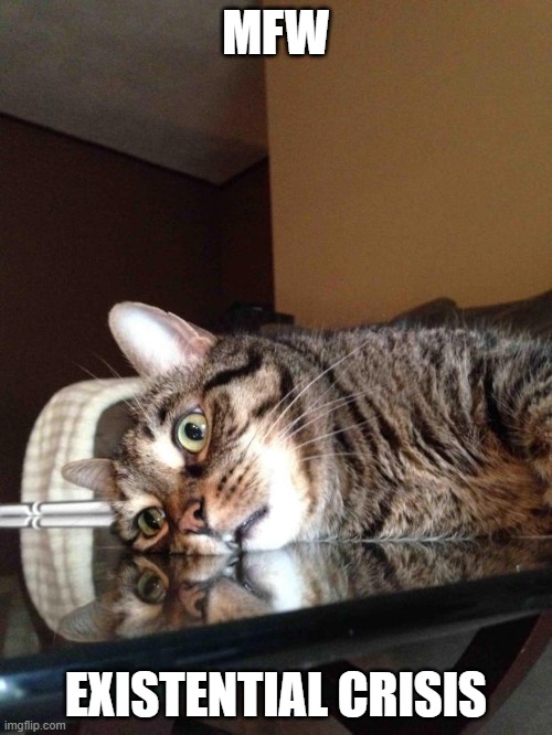 Existential Crisis Cat | MFW EXISTENTIAL CRISIS | image tagged in existential crisis cat | made w/ Imgflip meme maker