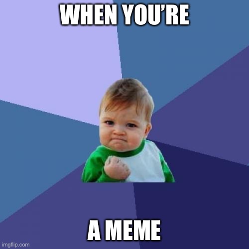 Success Kid | WHEN YOU’RE; A MEME | image tagged in memes,success kid | made w/ Imgflip meme maker