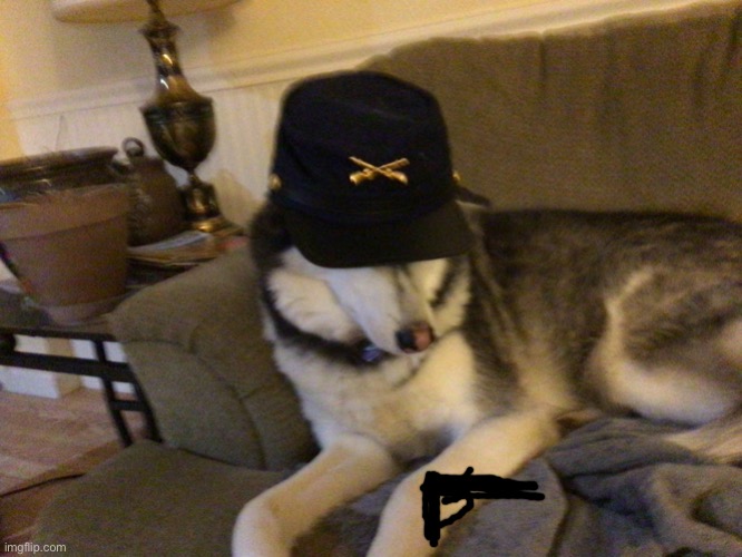 My dog has joined your ranks | image tagged in union husky | made w/ Imgflip meme maker