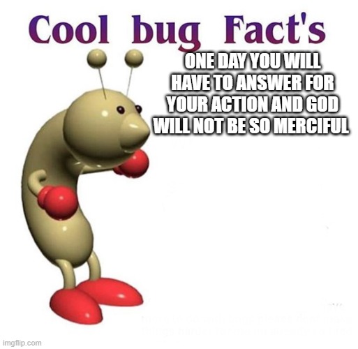 Cool Bug Facts | ONE DAY YOU WILL HAVE TO ANSWER FOR YOUR ACTION AND GOD WILL NOT BE SO MERCIFUL | image tagged in cool bug facts | made w/ Imgflip meme maker