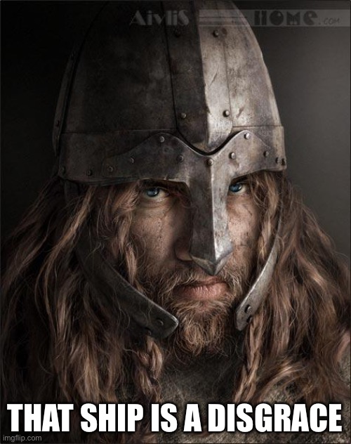 viking | THAT SHIP IS A DISGRACE | image tagged in viking | made w/ Imgflip meme maker