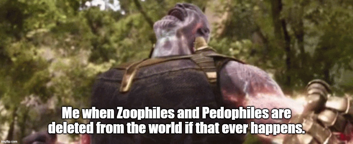 When will it end? | Me when Zoophiles and Pedophiles are deleted from the world if that ever happens. | image tagged in after the final stone thanos | made w/ Imgflip meme maker