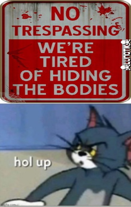 bodies!?!? | image tagged in hol up,memes,sign fail | made w/ Imgflip meme maker