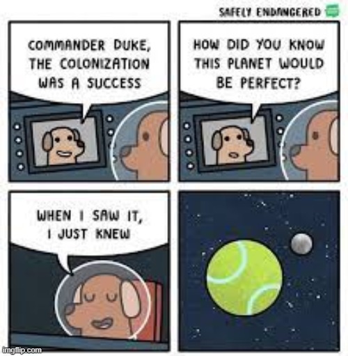 image tagged in comics,dogs | made w/ Imgflip meme maker