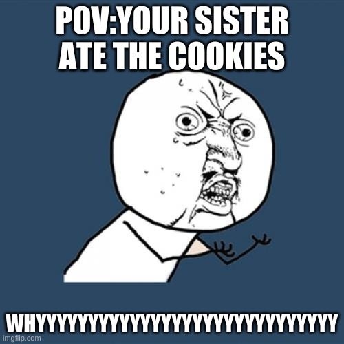 Y U No | POV:YOUR SISTER ATE THE COOKIES; WHYYYYYYYYYYYYYYYYYYYYYYYYYYYYY | image tagged in memes,y u no | made w/ Imgflip meme maker