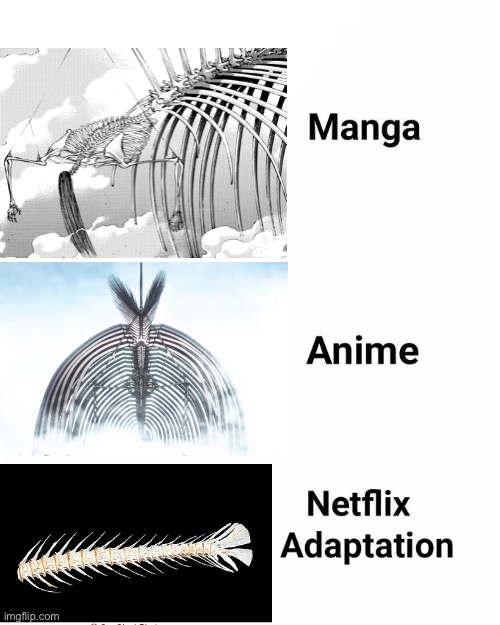 Manga, Anime, Netflix adaption | image tagged in manga anime netflix adaption,attack on titan | made w/ Imgflip meme maker