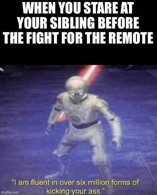 I have no title ideas. | WHEN YOU STARE AT YOUR SIBLING BEFORE THE FIGHT FOR THE REMOTE | image tagged in i am fluent in over six million forms of kicking your ass,memes | made w/ Imgflip meme maker