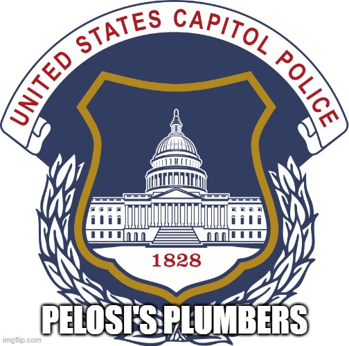 Pelosi's Plumbers | PELOSI'S PLUMBERS | image tagged in nwo,leftist terrorism,secret police | made w/ Imgflip meme maker