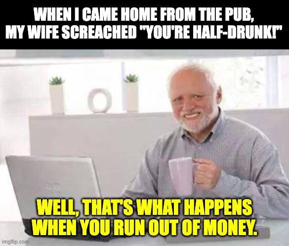 Pub | WHEN I CAME HOME FROM THE PUB, MY WIFE SCREACHED "YOU'RE HALF-DRUNK!"; WELL, THAT'S WHAT HAPPENS WHEN YOU RUN OUT OF MONEY. | image tagged in harold | made w/ Imgflip meme maker