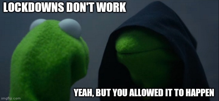 Evil Kermit Meme | LOCKDOWNS DON'T WORK YEAH, BUT YOU ALLOWED IT TO HAPPEN | image tagged in memes,evil kermit | made w/ Imgflip meme maker