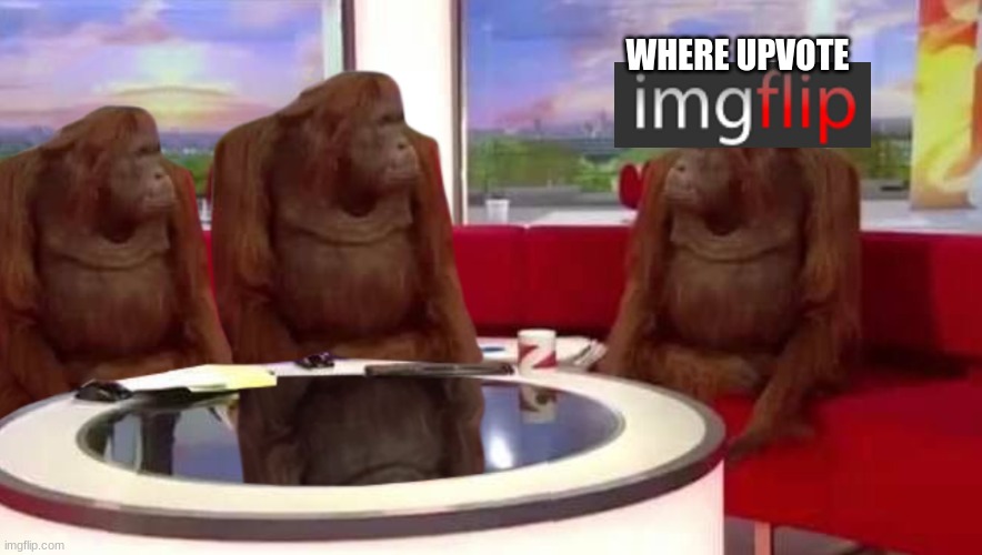 people on imgflip | WHERE UPVOTE | image tagged in where monkey,funny,imgflip,viral,monkey,upvote begging | made w/ Imgflip meme maker