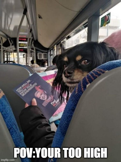 :O | POV:YOUR TOO HIGH | image tagged in memes,funny,msmg,not funny | made w/ Imgflip meme maker