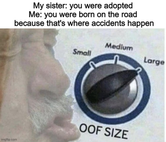 Comeback roasts | My sister: you were adopted
Me: you were born on the road
 because that's where accidents happen | image tagged in oof size large | made w/ Imgflip meme maker