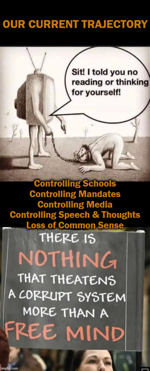 The Great Reset | OUR CURRENT TRAJECTORY; Controlling Schools
Controlling Mandates
Controlling Media
Controlling Speech & Thoughts
Loss of Common Sense | image tagged in politics,liberals vs conservatives,freedom,liberty,america,the great reset | made w/ Imgflip meme maker
