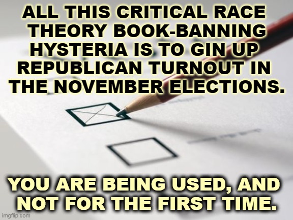 Republican race-baiting. What else is new? | ALL THIS CRITICAL RACE 
THEORY BOOK-BANNING HYSTERIA IS TO GIN UP 
REPUBLICAN TURNOUT IN 
THE NOVEMBER ELECTIONS. YOU ARE BEING USED, AND 
NOT FOR THE FIRST TIME. | image tagged in voting ballot,republican,racism,hysteria,election | made w/ Imgflip meme maker