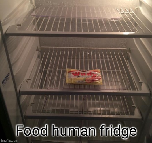 Food human fridge | Food human fridge | image tagged in empty fridge,food,fridge,comment section,comments,memes | made w/ Imgflip meme maker