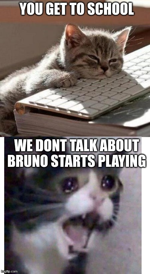 CRINGE | YOU GET TO SCHOOL; WE DONT TALK ABOUT BRUNO STARTS PLAYING | image tagged in tired cat,memes | made w/ Imgflip meme maker