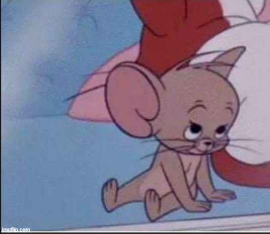 jerry cute | image tagged in jerry cute | made w/ Imgflip meme maker