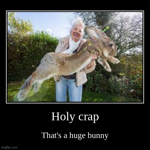 image tagged in funny,demotivationals,bunny | made w/ Imgflip demotivational maker