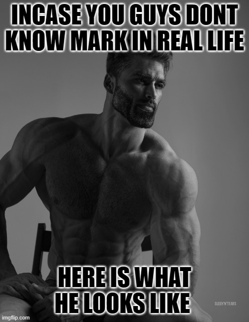 you're awesome (owner note: thx dude!) | INCASE YOU GUYS DONT KNOW MARK IN REAL LIFE; HERE IS WHAT HE LOOKS LIKE | image tagged in giga chad | made w/ Imgflip meme maker