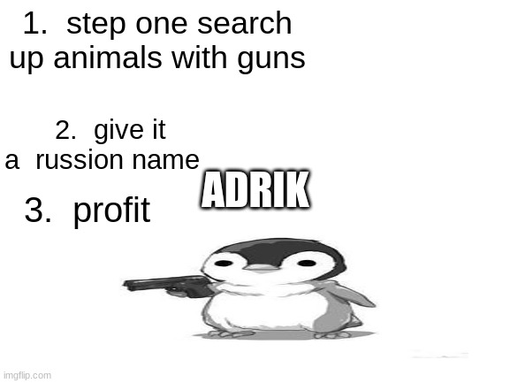 Blank White Template |  1.  step one search up animals with guns; 2.  give it a  russion name; ADRIK; 3.  profit | image tagged in blank white template | made w/ Imgflip meme maker
